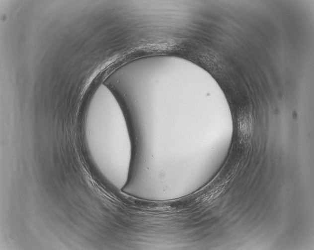 X0000056340396200508260856