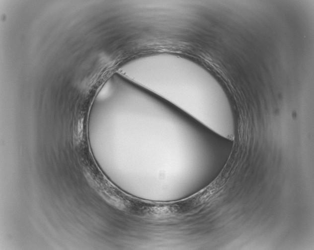 X0000056340406200508260856