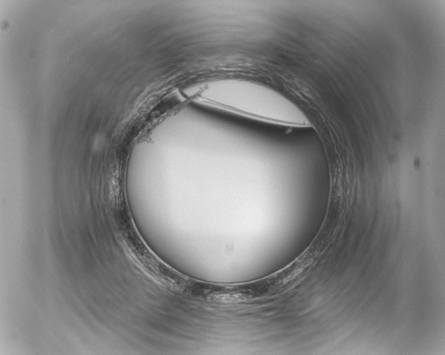 X0000056340408200508260856