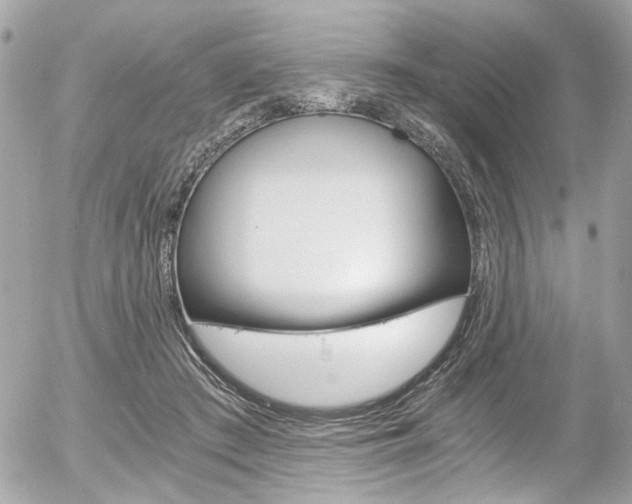 X0000056340409200508260856