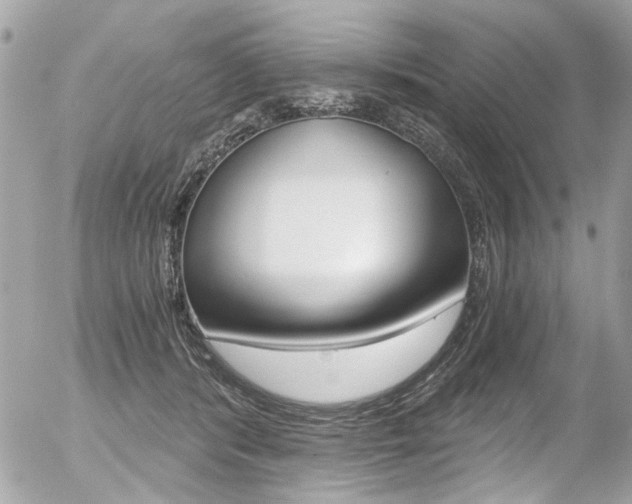 X0000056340416200508260856