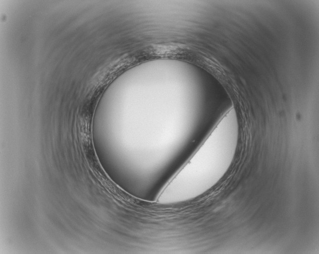 X0000056340421200508260856