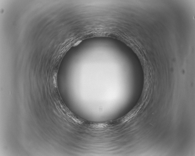 X0000056340432200508260855