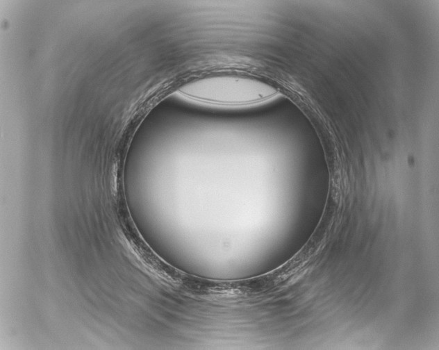 X0000056340454200508260855