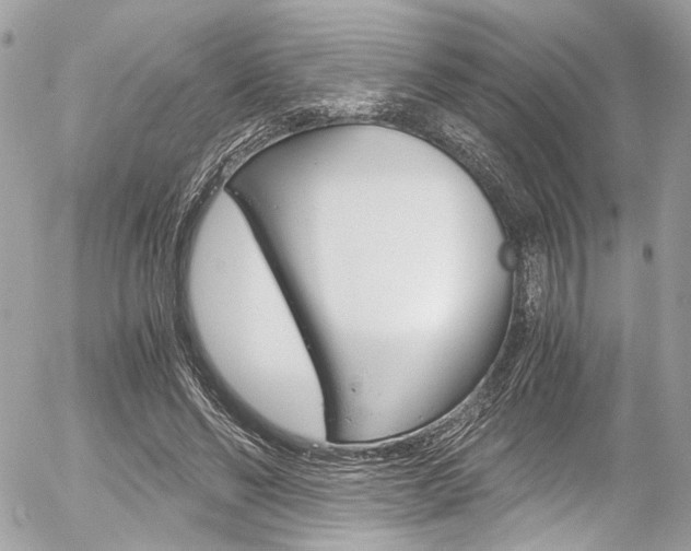 X0000056340494200508260854