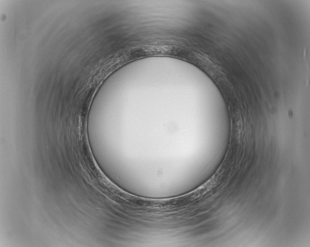 X0000056340498200508260854