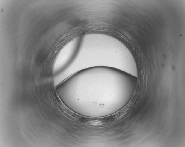 X0000056340507200508260854