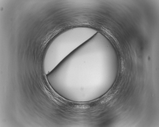X0000056340541200508260853