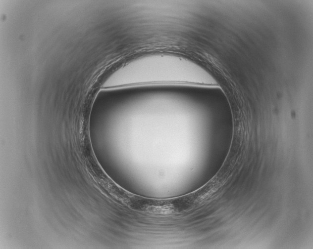 X0000056340548200508260853