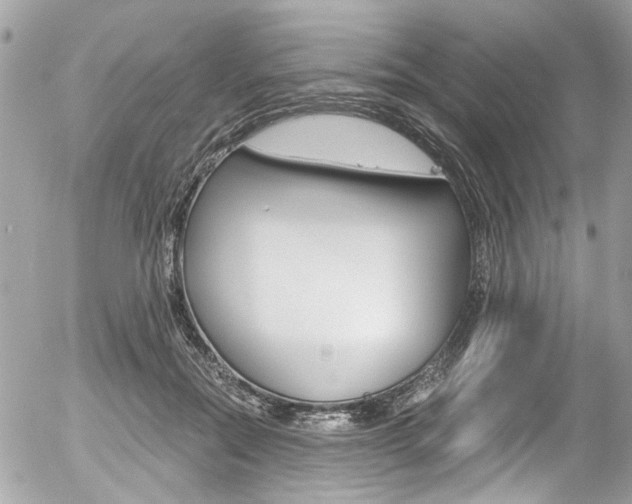 X0000056340554200508260853