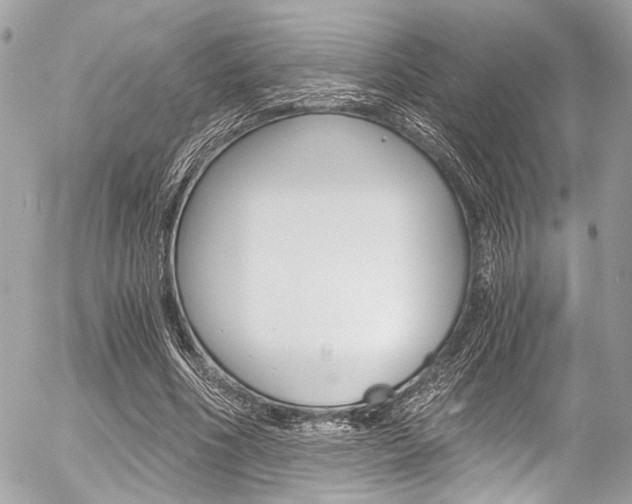X0000056340586200508260853