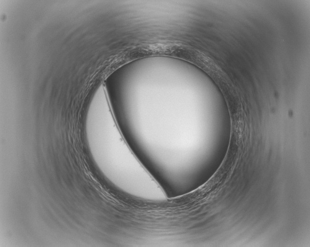 X0000056340593200508260853