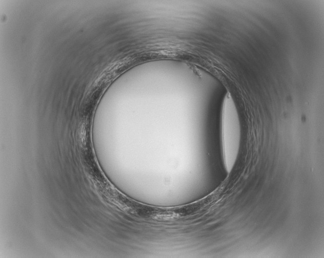 X0000056340595200508260853