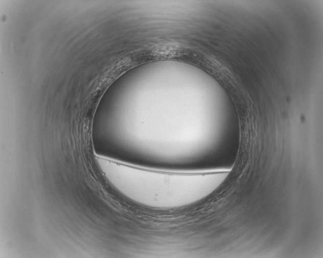 X0000056340601200508260853