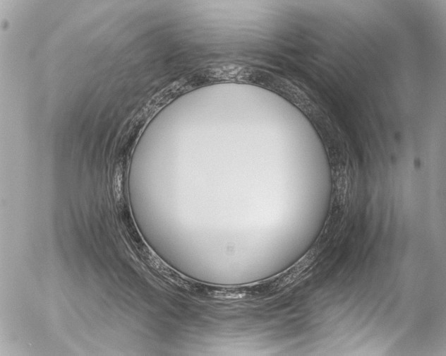 X0000056340602200508260853