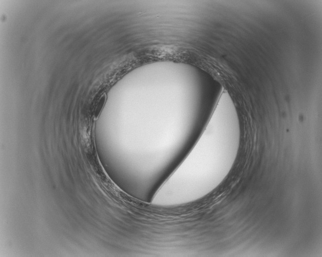 X0000056340607200508260852