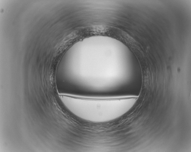 X0000056340608200508260852