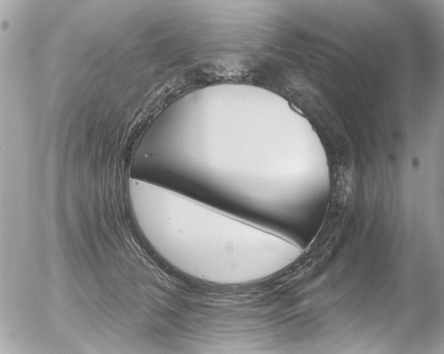 X0000056340612200508260852