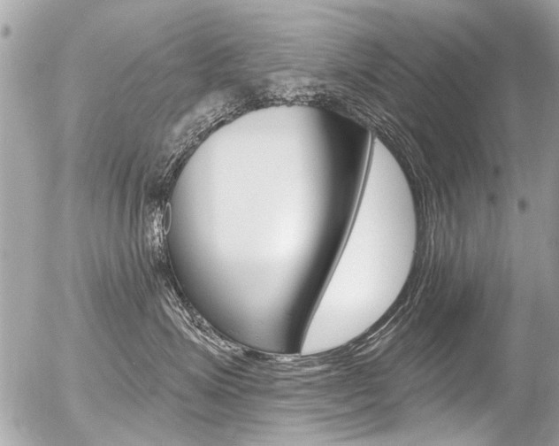 X0000056340623200508260852