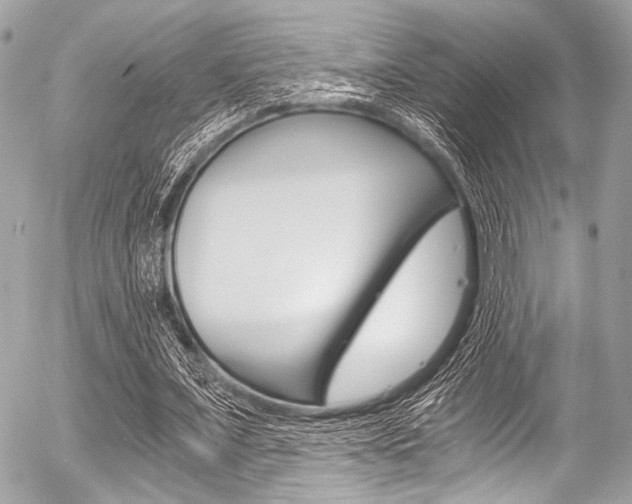 X0000056340675200508260851