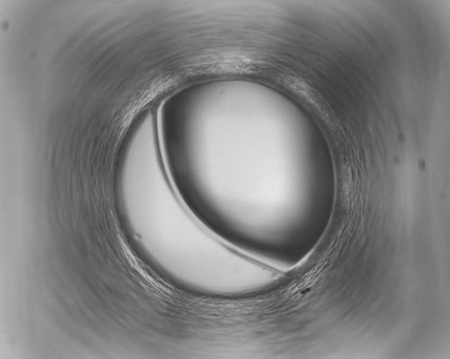 X0000056340677200508260851