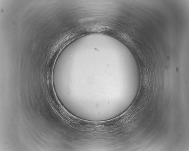 X0000056340683200508260851