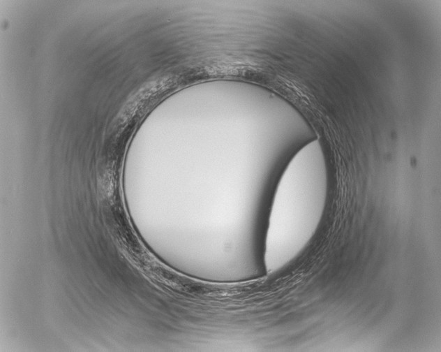 X0000056340687200508260851