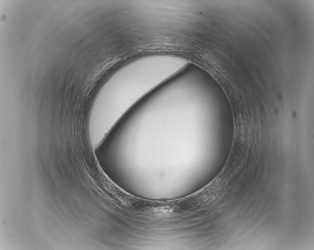 X0000056340692200508260851