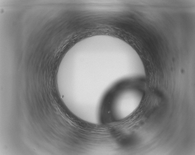 X0000056340750200508260850