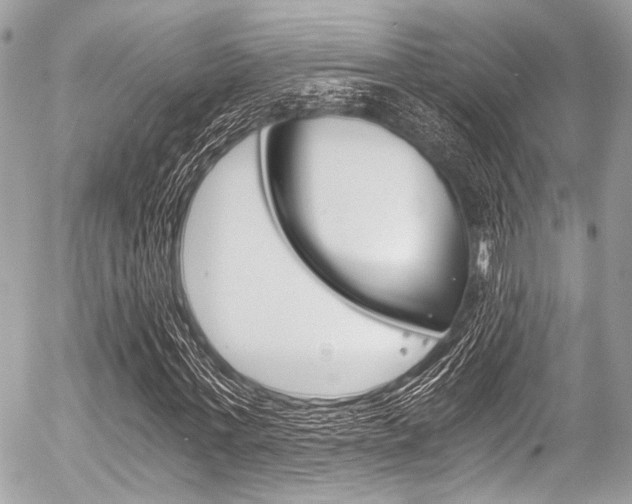 X0000056340771200508260850