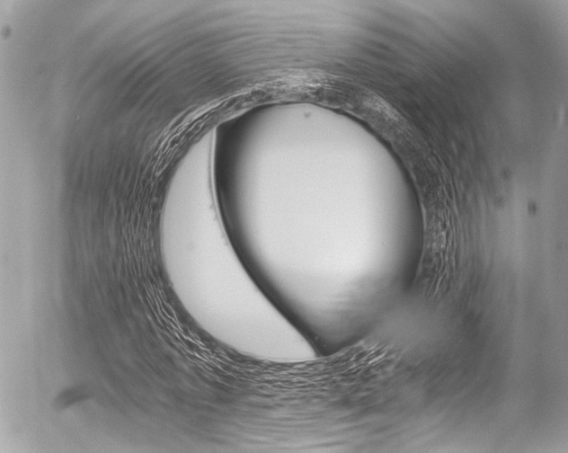 X0000056340773200508260850