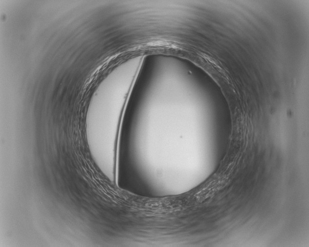 X0000056340776200508260850