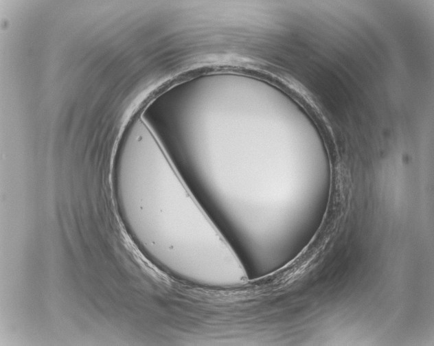 X0000056340791200508260849