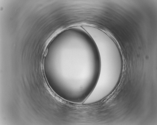 X0000056340813200508260849
