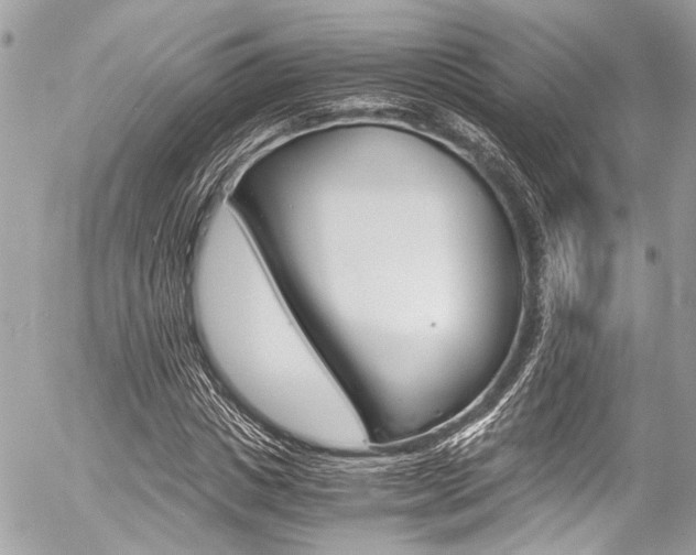 X0000056340825200508260848