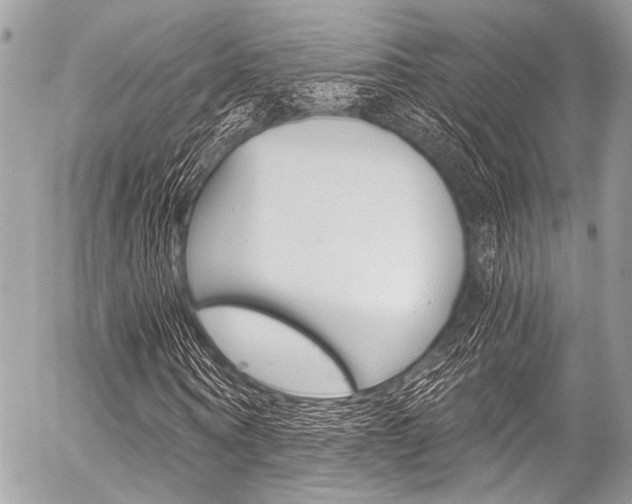 X0000056340866200508260848