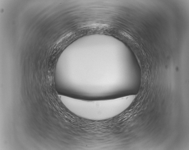 X0000056340869200508260848