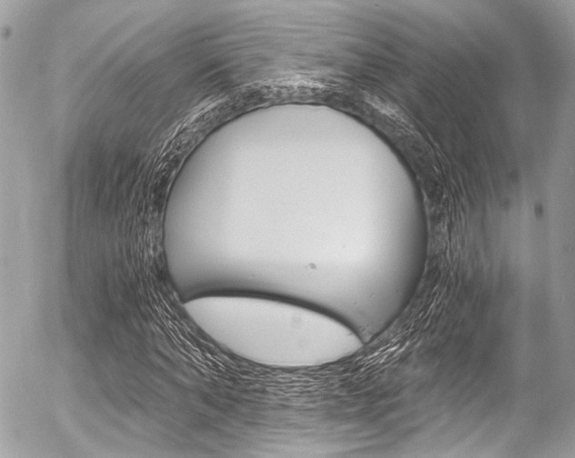 X0000056340870200508260848