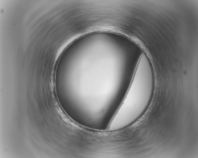 X0000056340904200508260848