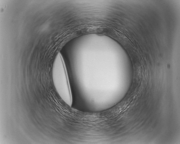 X0000056340914200508260847