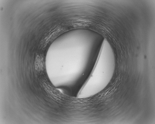 X0000056340915200508260847