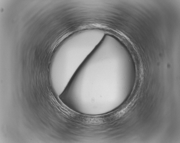 X0000056340921200508260847