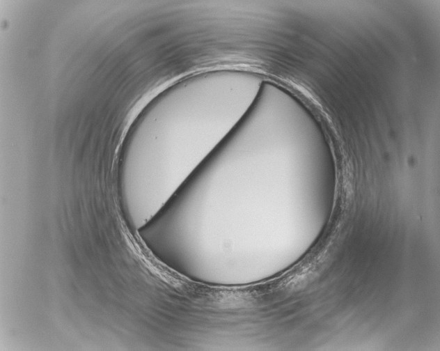 X0000056340933200508260847