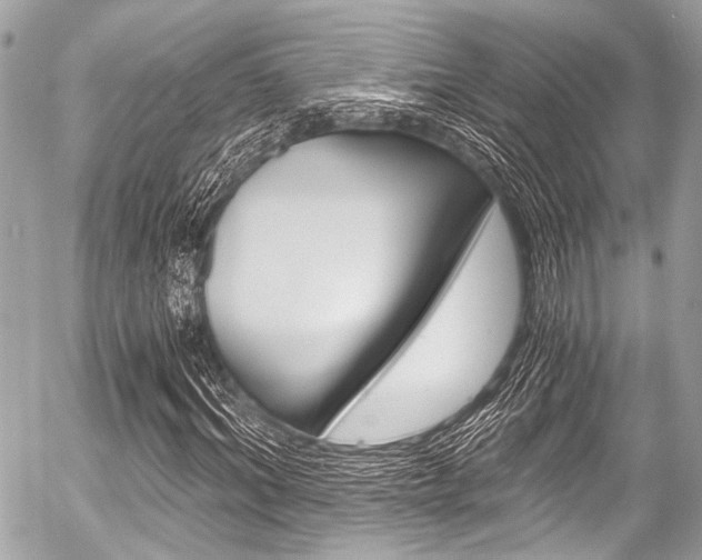 X0000056340964200508260847