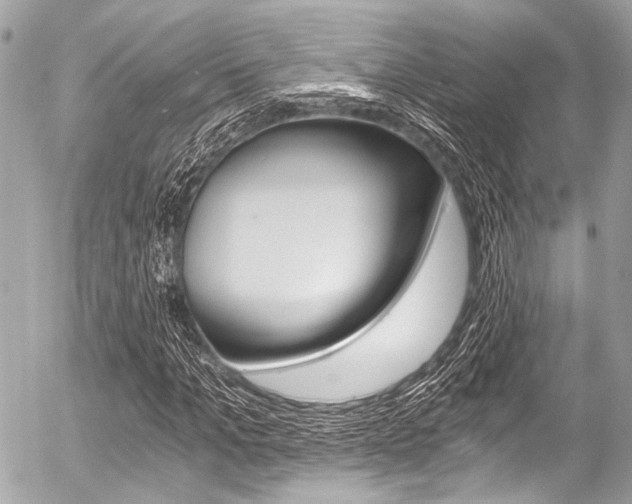 X0000056340965200508260847