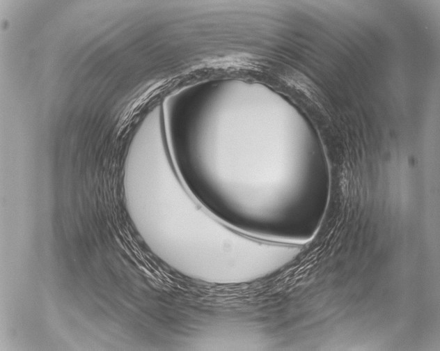 X0000056340968200508260847