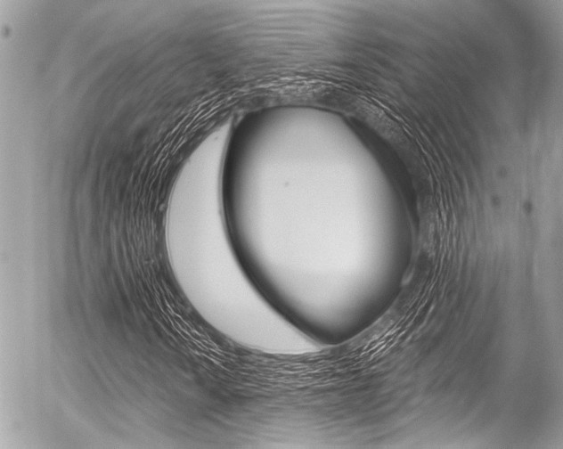 X0000056341010200508260845