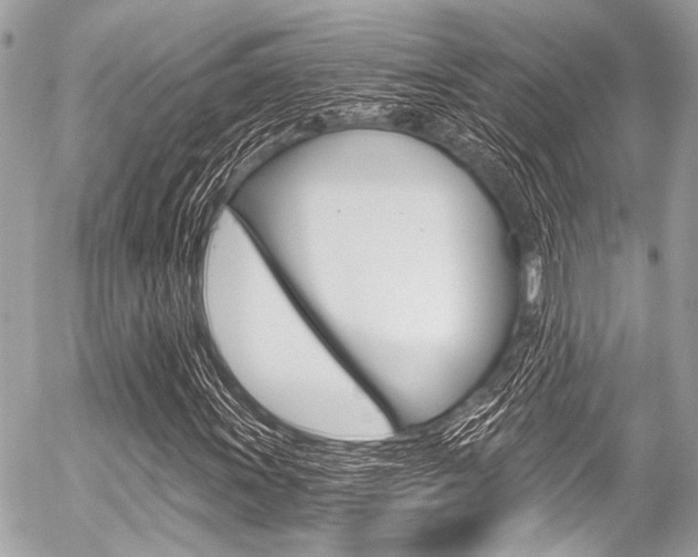 X0000056341011200508260845