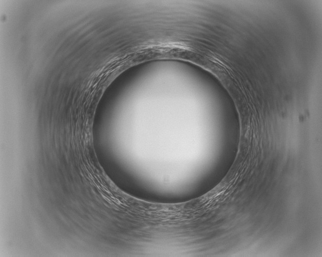 X0000056341014200508260845