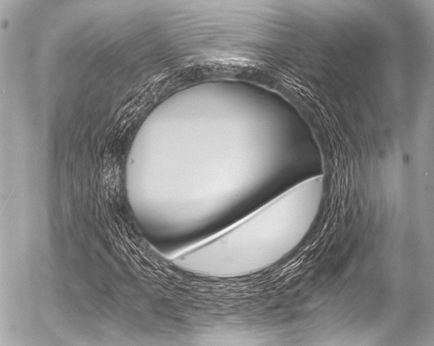 X0000056341061200508260845